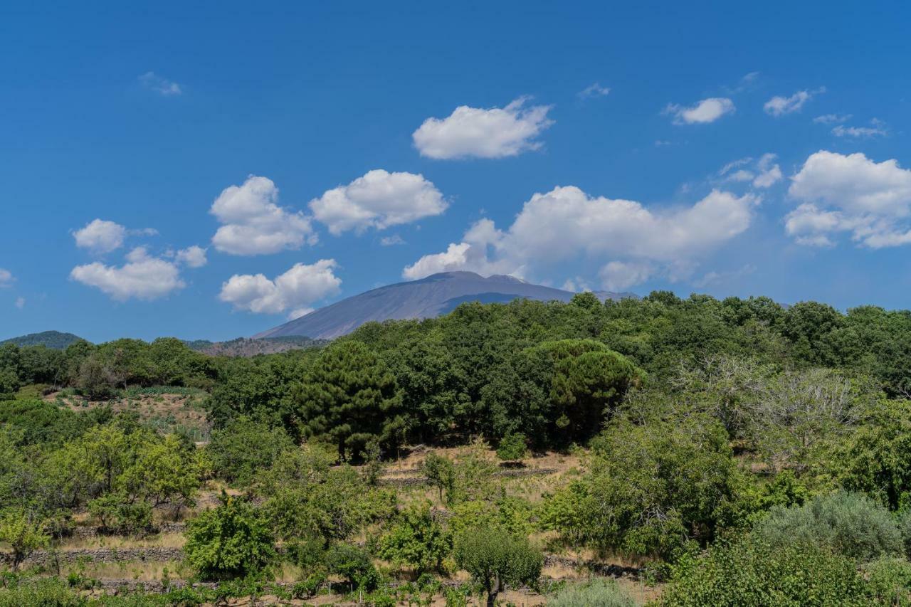 Le Vigne - Villa Overlooking Etna Adrano Екстериор снимка